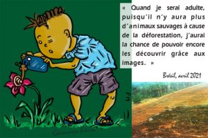 Lire la suite à propos de l’article L’Union européenne numéro 2 sur le podium des responsables de la déforestation, pour le WWF